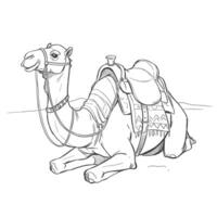 Ink sketch of saddled camel resting on desert ground in sitting pose. Travel and culture concept vector