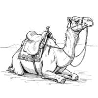Ink sketch of saddled camel resting on desert ground in sitting pose. Travel and culture concept, vector