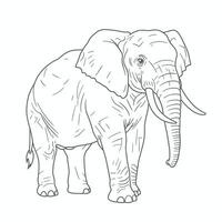 African Forest Elephant-Loxodonta cyclotis. A detailed sketch of an elephant showcasing long striking tusks and a textured trunk. The black-and-white artwork highlights the animal's powerful vector