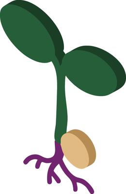Green seedling with roots sprouting from brown seed illustration for growth and nature concepts
