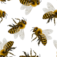 Bee pattern, drawing made in digital watercolor style. Perfect for fabric, wrapping paper, scrapbooking, cards, print, background, packaging, invitations, and seasonal decorations. png