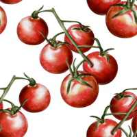 Watercolor seamless pattern with clusters of ripe tomatoes on a white background. Ideal for packaging, textiles, menu design, wallpaper and kitchen decor. png