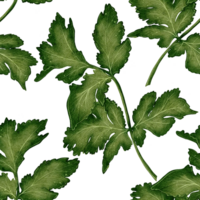 Watercolor seamless pattern with green parsley and cilantro leaves. Natural botanical background for packaging, textiles, and culinary projects. png