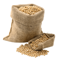 Burlap Sacks Overflowing with Harvested Soybeans on Rustic Agriculture Still Life Transparent Background png