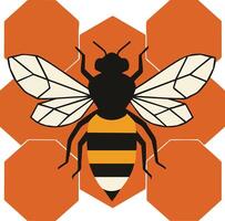 Bee with honeycomb hexagonal pattern graphic design in black and orange colors vector