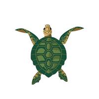 Top View Green Sea Turtle Tortuga Marina Marine Life Illustration Detailed Shell Pattern and Ocean Wildlife Seen From Above vector