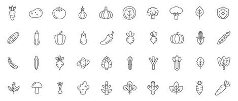 Vegetable Line Icon Set Minimal Outline Icons of Fresh Vegetables, Greens, and Root Crops vector