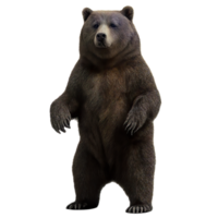 Realistic 3D Standing Bear Figure in Simple Design png