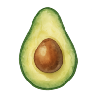 Watercolor Illustration of a Simple Avocado Slice in Realistic Style png