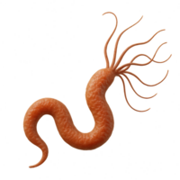 Realistic 3D Bacterium Model with Intricate Structure and Detail png