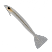 3D Arrow Worm Plankton Model for Scientific Visualization Use png
