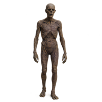 3D Decayed Figure with Distinct Textures and Simple Form png