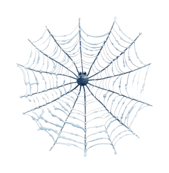 kompliziert Spinne Netz mit Tautropfen Anzeigen symmetrisch Muster png