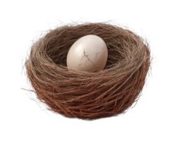 Cracked egg in nest symbolizing new beginnings and life's fragility png