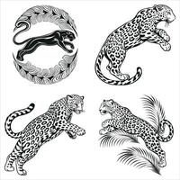 Elegant Black and White Leopard Illustrations Depicting Wildlife and Nature with a Distinctive Artistic Style and Striking Composition vector