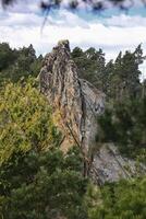Sandstone cliff peak, called Hamburger Wappen, rising steeply from a dense pine forest in the Harz mountains photo