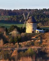 Historic windmill of Warnstedt surrounded by mixed vegetation and distant trees in soft sunlight photo