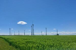 Wind turbines field stretching across a wide green plain beneath a clear blue spring sky photo
