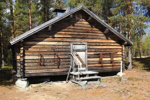 Wooden forest cabin standing in a quiet clearing surrounded by pines and early spring light photo