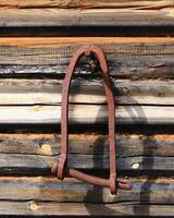 Rusted iron shackle mounted to a sunlit log wall of a weathered forest cabin photo