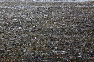 Shallow river bed with cold flowing water photo