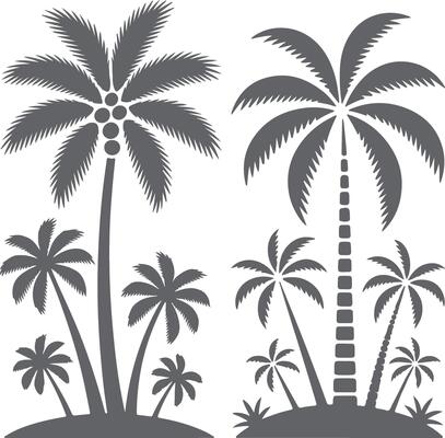 Gray Silhouette Tropical Palm Trees Island Scene Illustration Two Large Palm Trees Smaller Palms Coconuts Simple Design Graphic