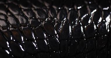 genuine black leather imitating crocodile leather for making objects photo