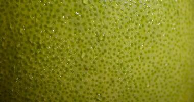 an unripe green grapefruit covered with water droplets photo