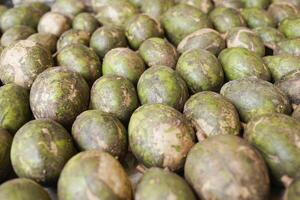 Ambarella is lined with green and brown hues photo