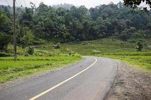 asphalt road turns in mountains photo