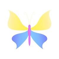 Colorful Gradient Abstract Butterfly Illustration Design Element vector