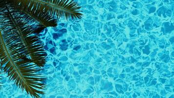 The inviting tropical pool water is enhanced by the lush green palm leaves around it photo