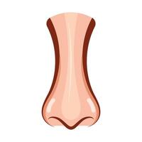 Cartoon Human Nose Front View Illustration. This is a colorful illustration of a human nose viewed from the front. vector