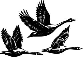 A vintage style illustration showing geese migration vector