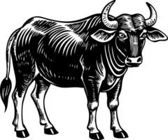 A vintage style illustration showing gaur bovine vector