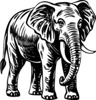 A vintage style illustration showing elephant vector