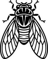 Cicada Top Down View vector