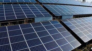 Blue sunny batteries on field in bright day. Innovative solar panels receive clean eco energy from the sun. Camera rising up. video