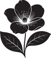 Elegant Black and White Silhouette of a Single Blooming Flower with Lush Leaves, Isolated on White Background, Evoking Serenity and Grace vector