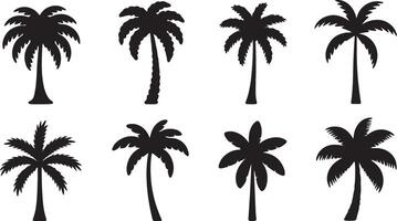 Eight Silhouettes of Tropical Palm Trees on White Background A Collection of Elegant and Moody Black and White Illustrations vector