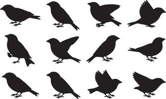 Twelve Silhouettes of Birds in Flight and Resting, Elegant Black Bird Illustrations on White Background, Peaceful Nature Scene vector