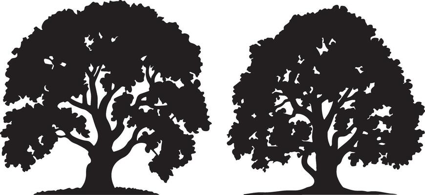 Majestic Black Silhouette of Two Ancient Oak Trees Standing Tall Against a White Background, Evoking a Sense of Serenity and Timeless Beauty.