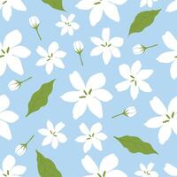 Seamless pattern hand draw jusmine flower and leaf on light blue background vector