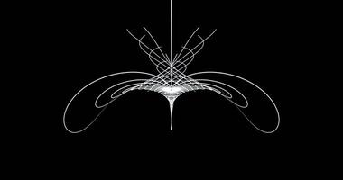 The growth of fantastic bizarre flowers. Drawing on a black background. Abstract animation.541 video
