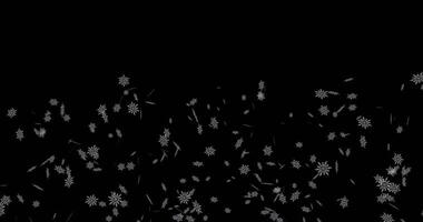 uma solteiro outono do uma pilha do flocos de neve em uma Preto fundo. abstrato animação.987 video