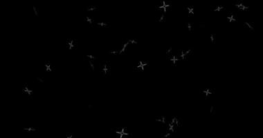 An explosion of abstract fireworks, the scattering of particles in the form of four-pointed stars. Abstract animation.858 video