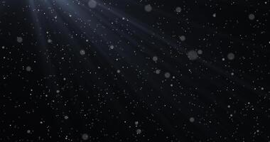 partículas Aumentar para cima dentro a raios do luz em uma Sombrio fundo. vôo pó. Aumentar vapor. abstrato animação.41 video