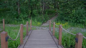 A Serene and Picturesque Wooden Bridge Leading to a Lush and Inviting Green Path video