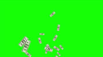 Dollar Bills falling particle animation on Green Screen Background video