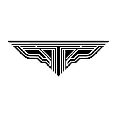 Geometric Wing Emblem, Minimalist, Modern Symbol